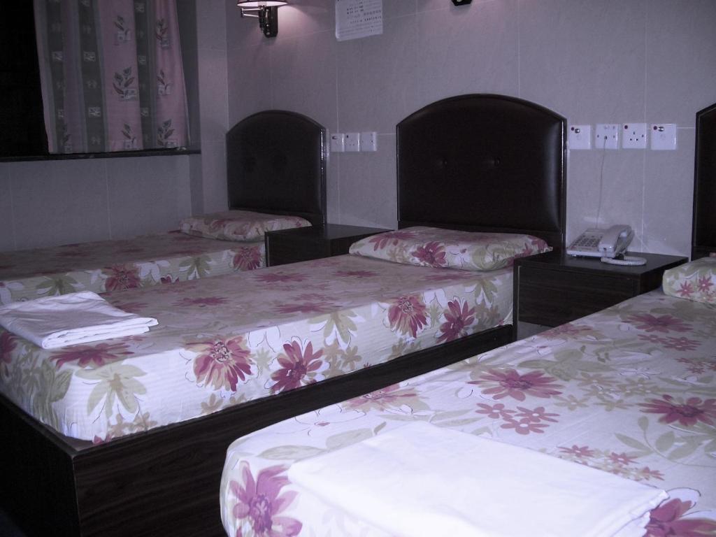 Kowloon Youth Village Tsim Sha Tsui 九龙青年公寓 Hong Kong Camera foto